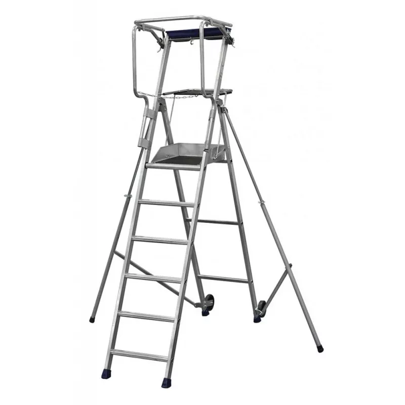 [F6] Echelle plateforme 3,45 m