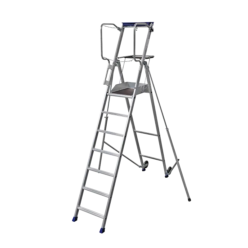 Echelle plateforme 3,70 m