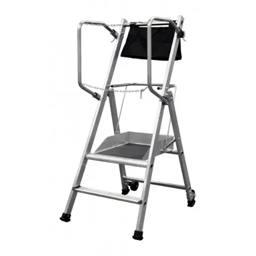 [T-REX 2.50] Echelle plateforme 2,5 m