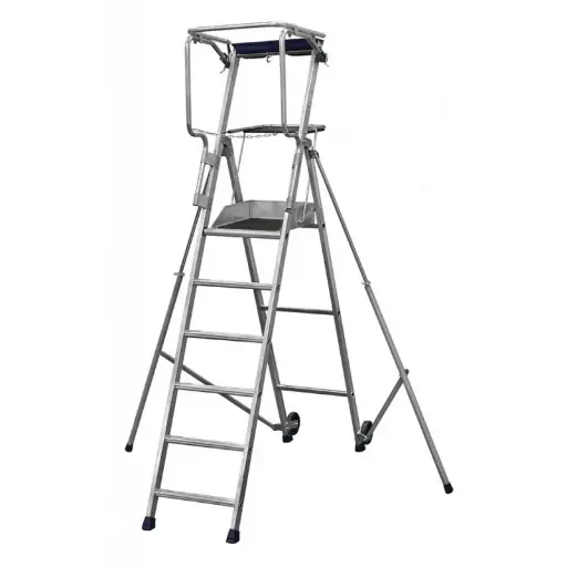 [F6] Echelle plateforme 3,45 m