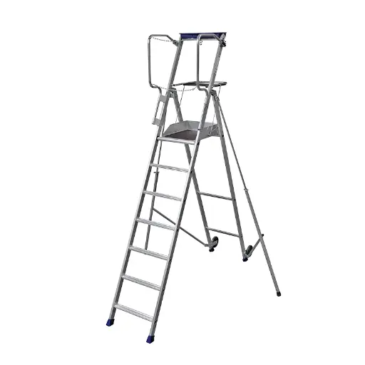 [F7] Echelle plateforme 3,70 m